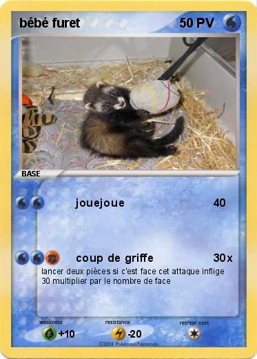 Pokemon bébé furet
