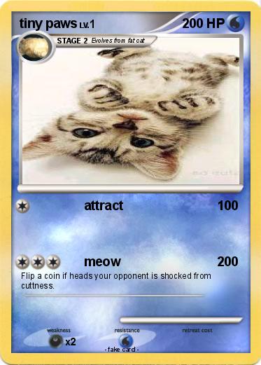 Pokemon tiny paws