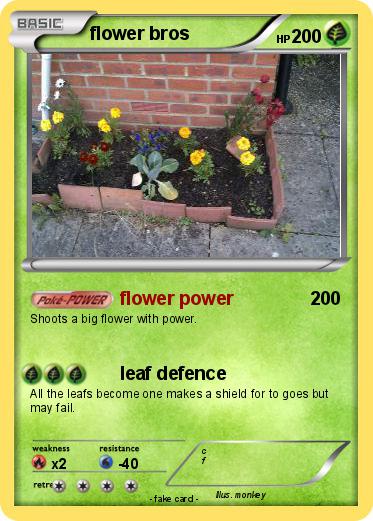 Pokemon flower bros