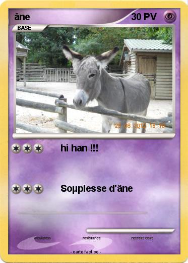 Pokemon âne