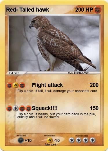 Pokemon Red- Tailed hawk