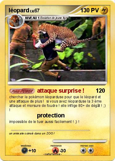 Pokemon léopard