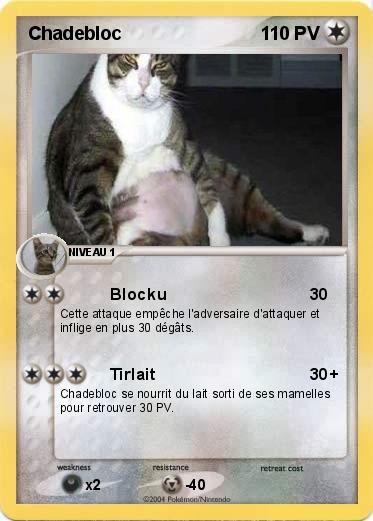 Pokemon Chadebloc
