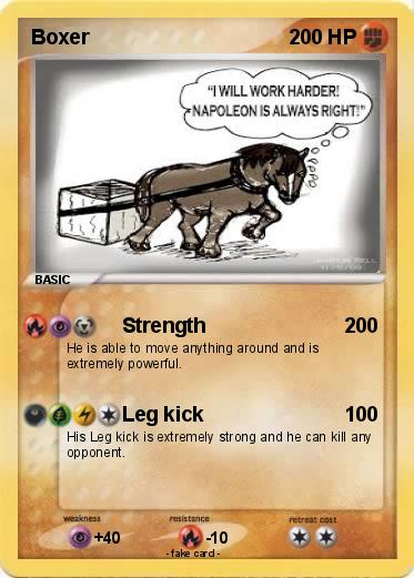 Pokemon Boxer