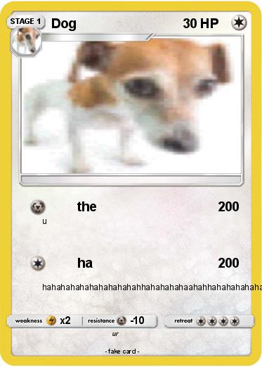 Pokemon Dog