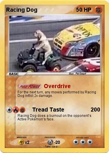 Pokemon Racing Dog