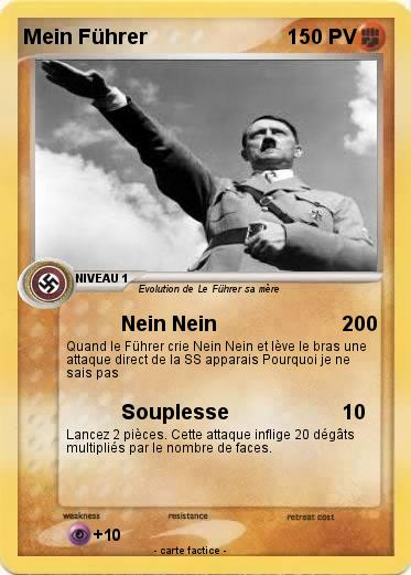 Pokemon Mein Führer