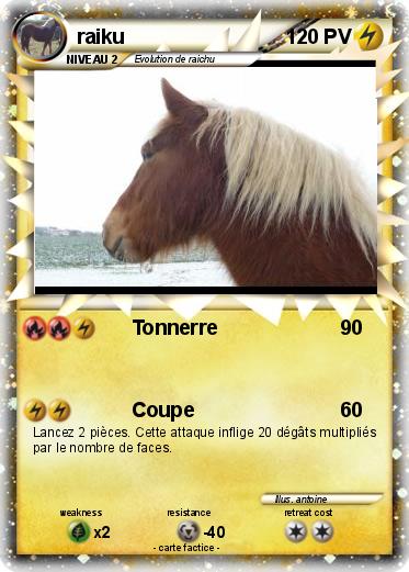 Pokemon raiku