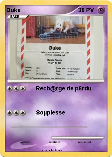 Pokemon Duke