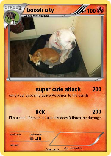 Pokemon boosh a ty
