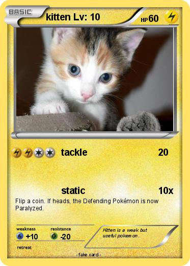 Pokemon kitten Lv: 10