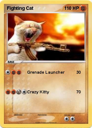 Pokemon Fighting Cat
