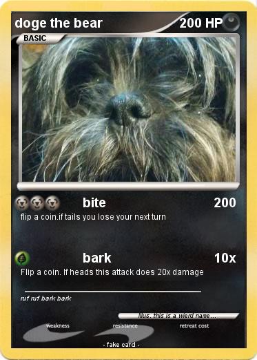 Pokemon doge the bear