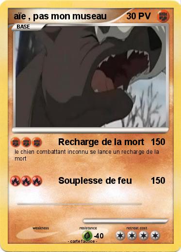 Pokemon aïe , pas mon museau