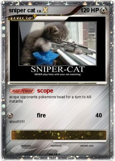 Pokemon sniper cat
