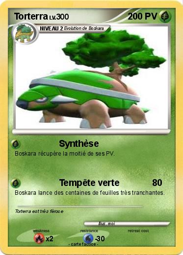 Pokemon Torterra