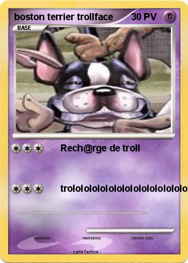 Pokemon boston terrier trollface