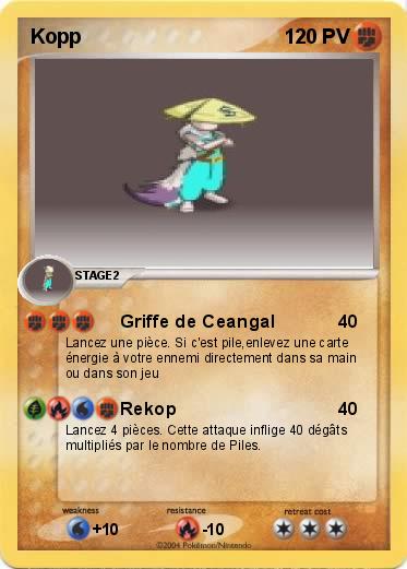 Pokemon Kopp