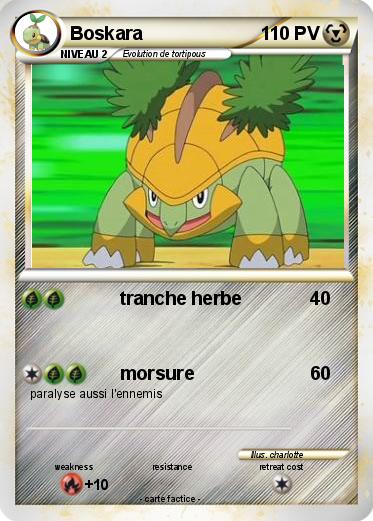 Pokemon Boskara