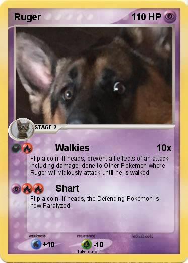 Pokemon Ruger