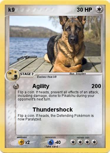Pokemon k9