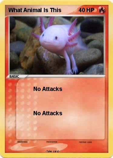 Pokemon What Animal Is This