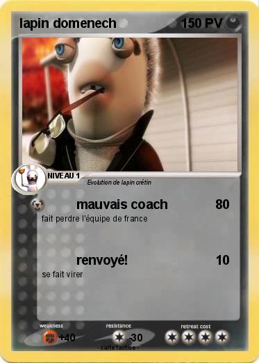 Pokemon lapin domenech