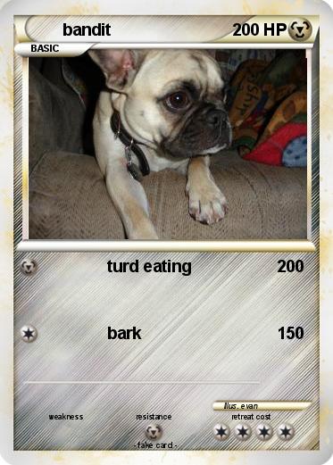 Pokemon bandit
