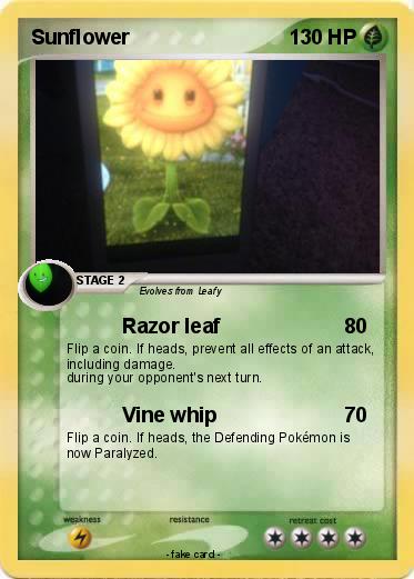 Pokemon Sunflower