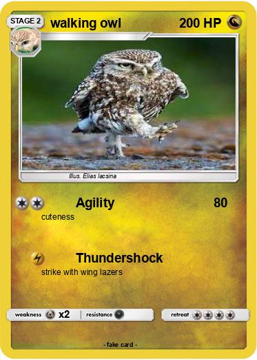 Pokemon walking owl