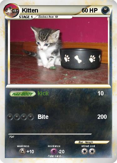 Pokemon Kitten
