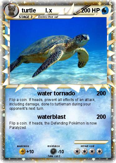 Pokemon turtle      l.x