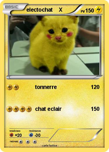 Pokemon electochat    X