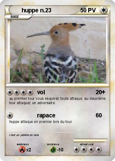 Pokemon huppe n.23