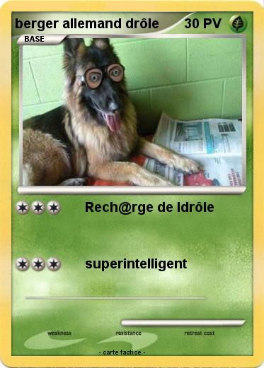 Pokemon berger allemand drôle