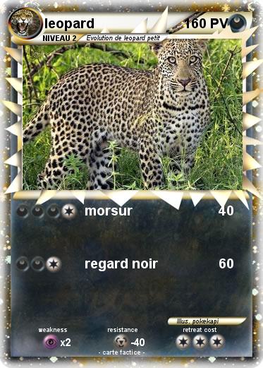 Pokemon leopard