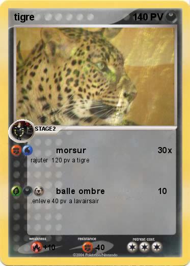Pokemon tigre