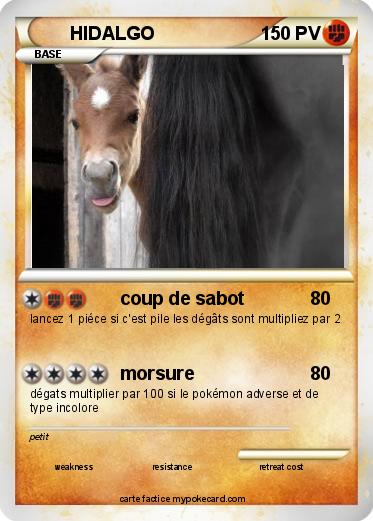 Pokemon HIDALGO