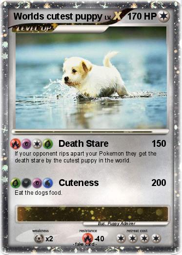 Pokemon Worlds cutest puppy