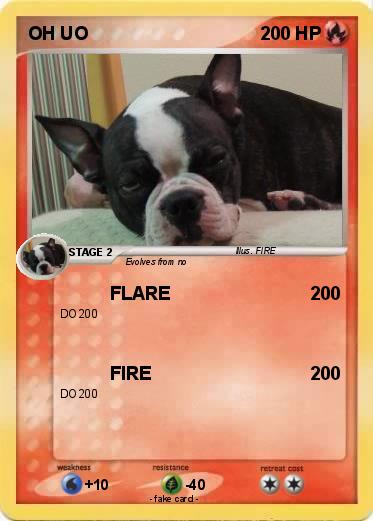 Pokemon OH UO