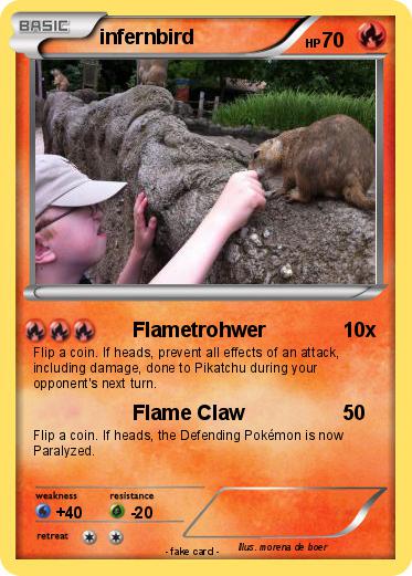 Pokemon infernbird
