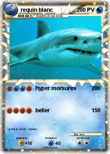 Pokemon requin blanc