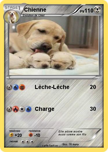 Pokemon Chienne