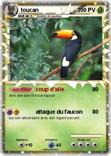 Pokemon toucan