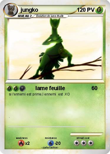 Pokemon jungko