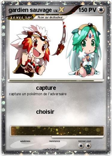 Pokemon gardien sauvage