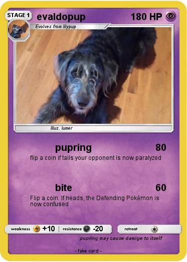Pokemon evaldopup