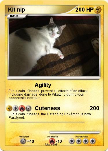 Pokemon Kit nip