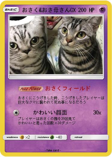 Pokemon おさく&おさ母さんGX