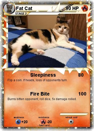 Pokemon Fat Cat